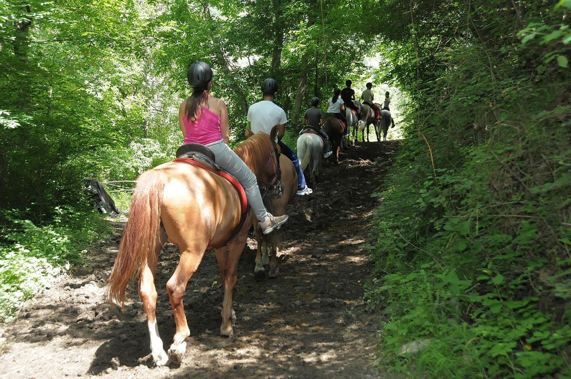 Camping Llavorsí מראה חיצוני תמונה